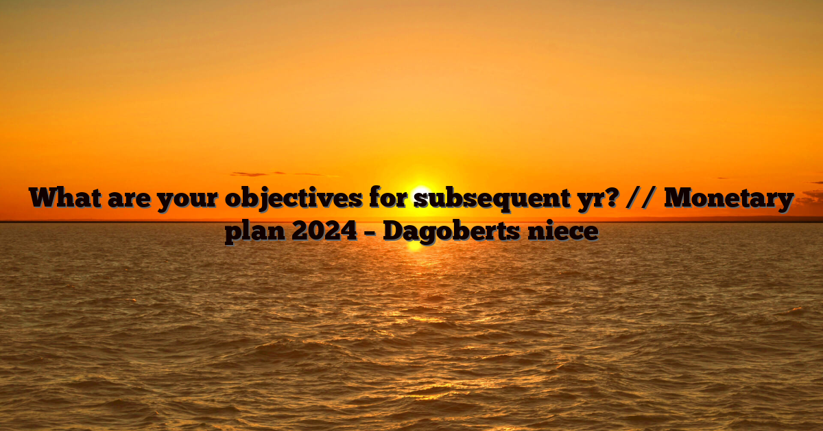 What are your objectives for subsequent yr? // Monetary plan 2024 – Dagoberts niece